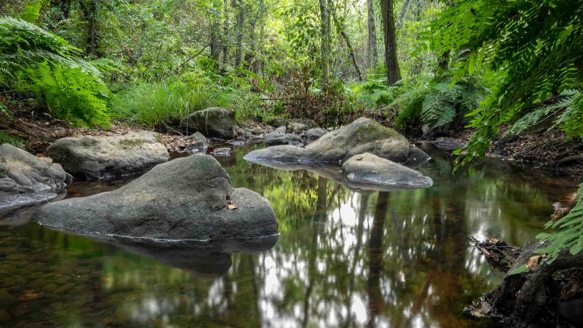 Estação da Biodiversidade da Ribeira da Foz