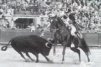 touroecavaleiro