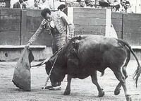matadordetoiros